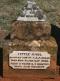 image of grave number 943529